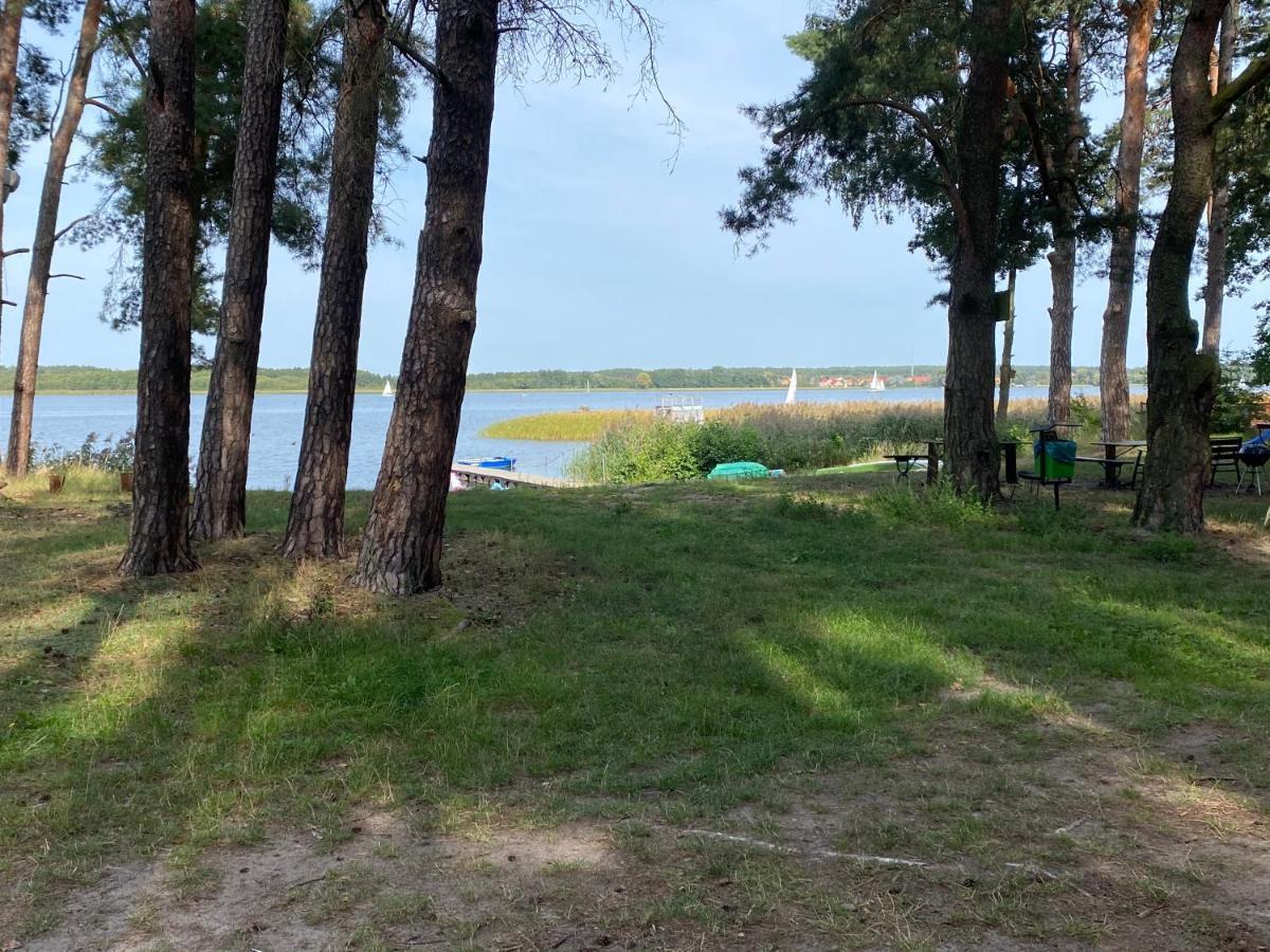 Apartament Wiewiorka Radzyń Exteriör bild